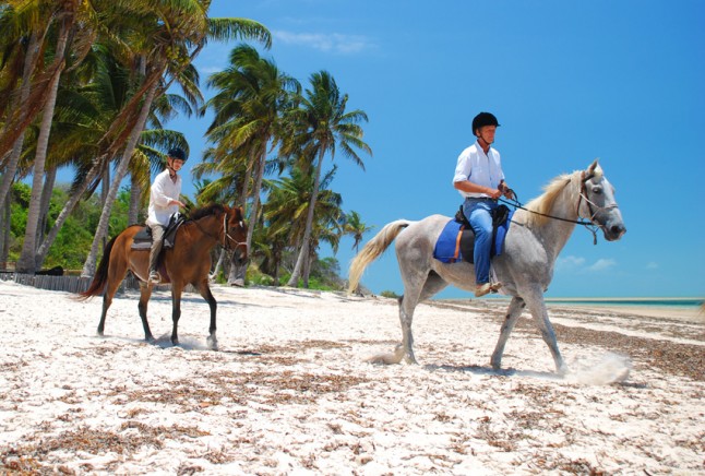 Mozambique Beach Safari - Equestrian Holidays